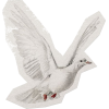 item - Przedmioty - 