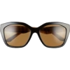 item - Sunglasses - 