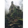 ivy house - Buildings - 
