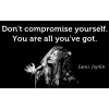 janis - Uncategorized - 