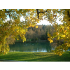 jesen - Nature - 