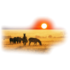 Africa - Natur - 