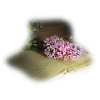 Book&flowers - Przedmioty - 