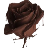 Chocolate rose - Comida - 
