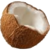 Coconut - フード - 