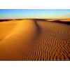 Desert - Fundos - 