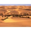 Desert - Background - 