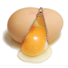 Egg - Rascunhos - 