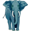 Elephant - Animali - 