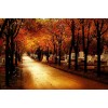 Fall - My photos - 