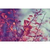 Fall - My photos - 