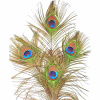 Feather - Items - 