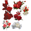 Roses - Rośliny - 