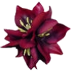 Flower - Predmeti - 