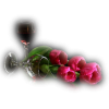 Flowers Rose - Rastline - 