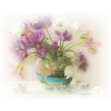 Flowers - Pflanzen - 