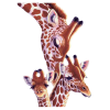 Giraffes - Животные - 