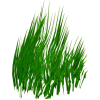 Grass - Растения - 