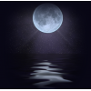 Moon - Natureza - 