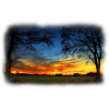 Nature Sunset - Natureza - 