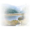 Nature Lake - Priroda - 