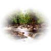 River - Natural - 