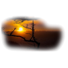 Nature Sunset Sea - Priroda - 
