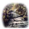River - Natura - 