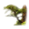 Tree - Priroda - 