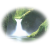 Waterfall - Natur - 