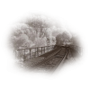 Railway - Nature - 