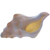 Shell - Items - 