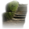 Stairs - 建物 - 