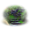Stairs - Narava - 