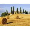 Toscana - Ilustracje - 