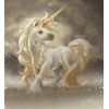 Unicorn - My photos - 