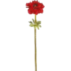 anemona flower - 植物 - 