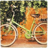 bicikl - Ozadje - 