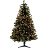 Christmas tree - Biljke - 