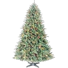 božićno drvce - Piante - 