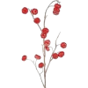 cvijet flower - Plantas - 