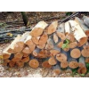 drva - Pozadine - 