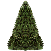 Christmas tree - 植物 - 