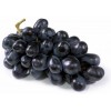 grožđe - Piante - 