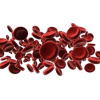 blood cells - イラスト - 