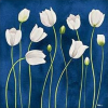 cvijece - Illustrazioni - 