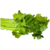 Salata - Verdure - 