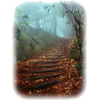 forest stairs - Natural - 