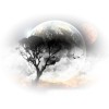 moon tree - イラスト - 