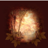 šuma u jesen - Pozadine - 